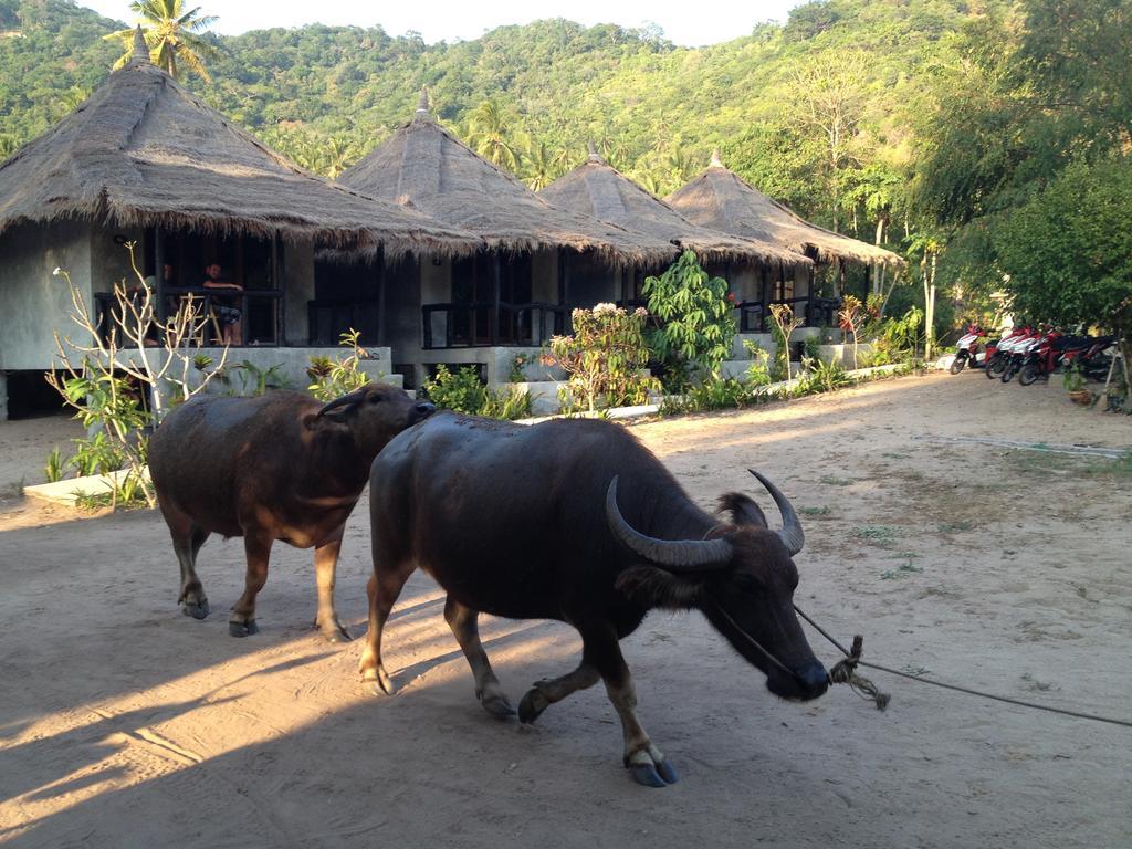 Secret Garden Village Ko Tao Zewnętrze zdjęcie